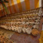 Vraj-Yatra-2014- (2884)